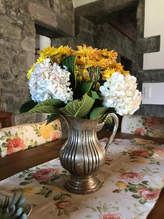 Charming Green Country House Nordestinho エクステリア 写真
